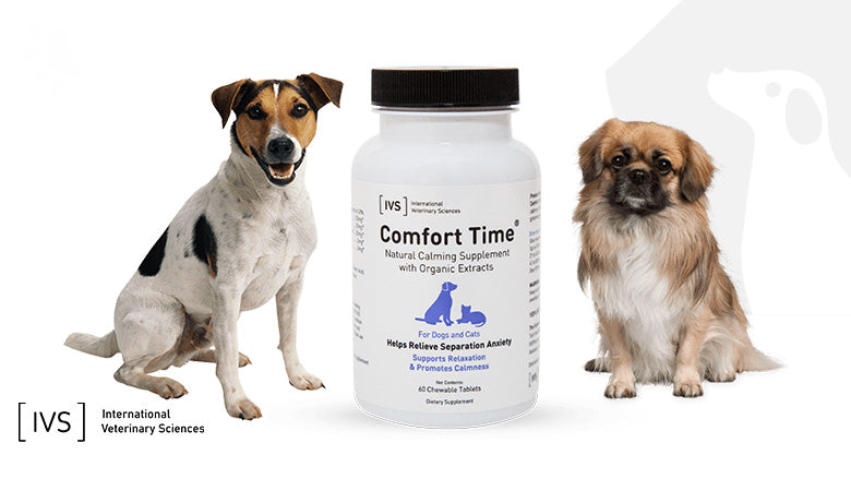 Natural calming outlet supplements for dogs