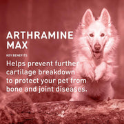 Arthramine healthy joints & bones supplement for dogs