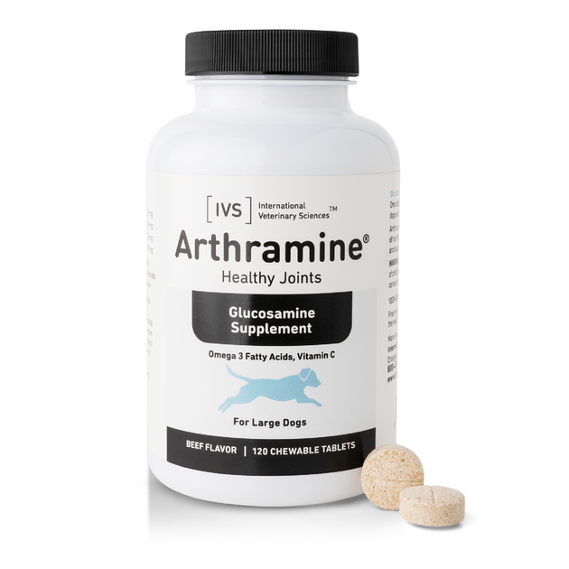 Arthramine tablets sale