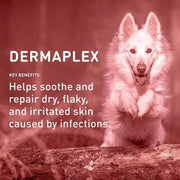 Dermaplex Advanced Skin and Coat Repair Shampoo for pets
